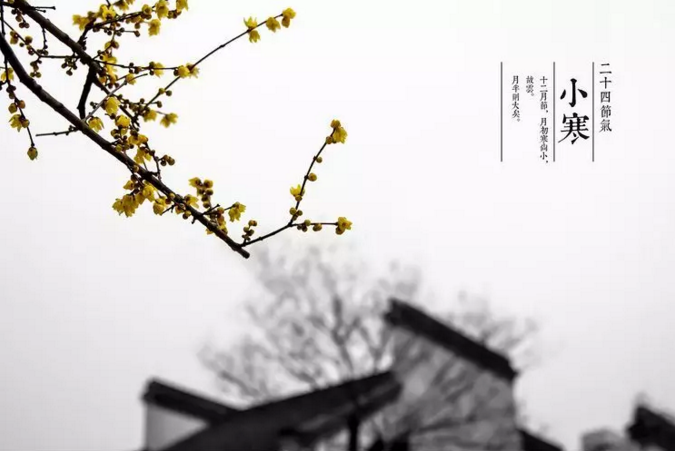 今日小寒,注意御寒养生-图3