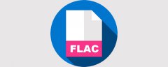 <b>flac是什么格式？flac与mp3有什么不同</b>