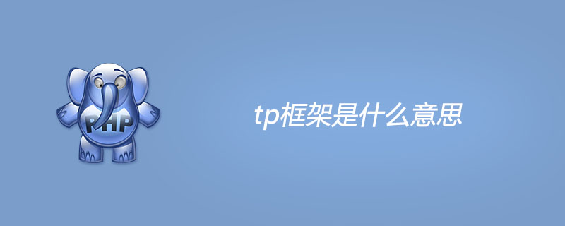 tp是什么意思