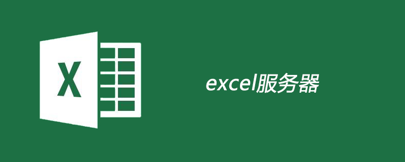 excel服务器