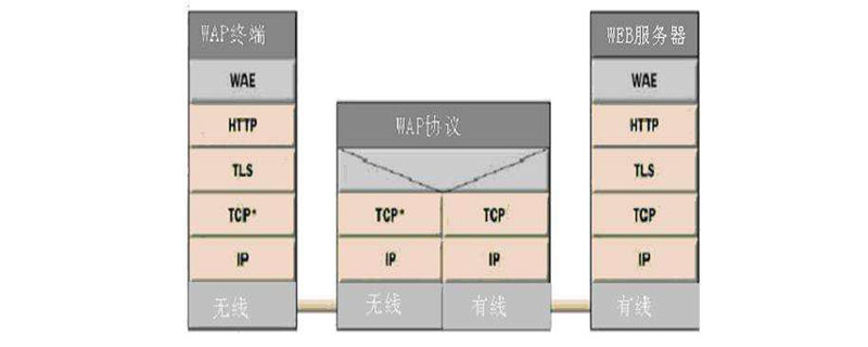 wap是什么意思