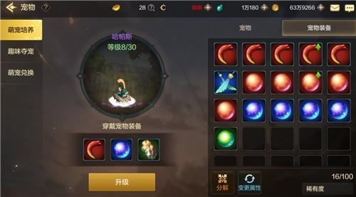dnf手游宠物获得方法攻略一览