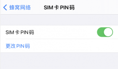 在iPhone上如何设置SIM卡PIN码