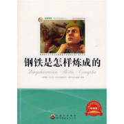 钢铁是怎样炼成的每章内容概括(50~100字)