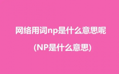 np什么意思呢 np的全称及网络用语