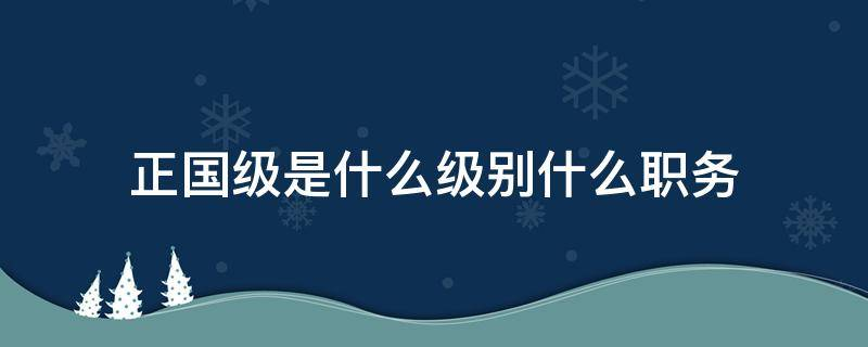 正国级是什么级别干部